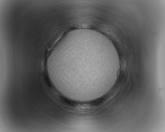 X0000088080599200706081731