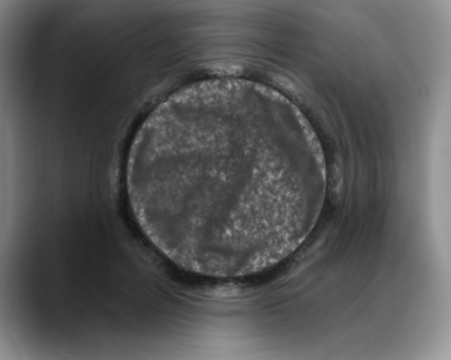 X0000088080600200706081731