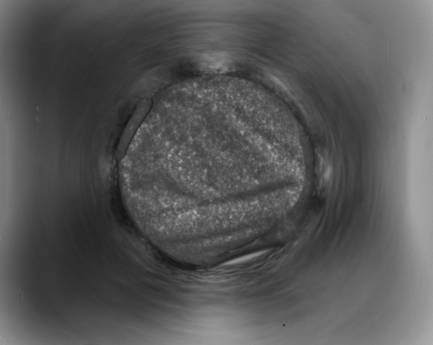 X0000088080601200706081731