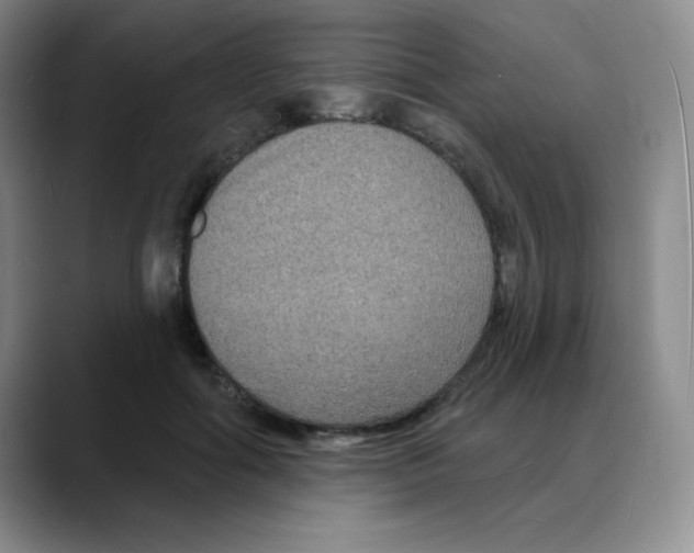X0000088080602200706081731