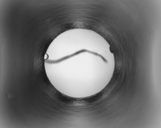 X0000088080603200706081731