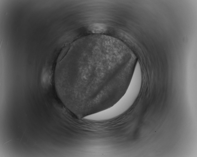 X0000088080604200706081731