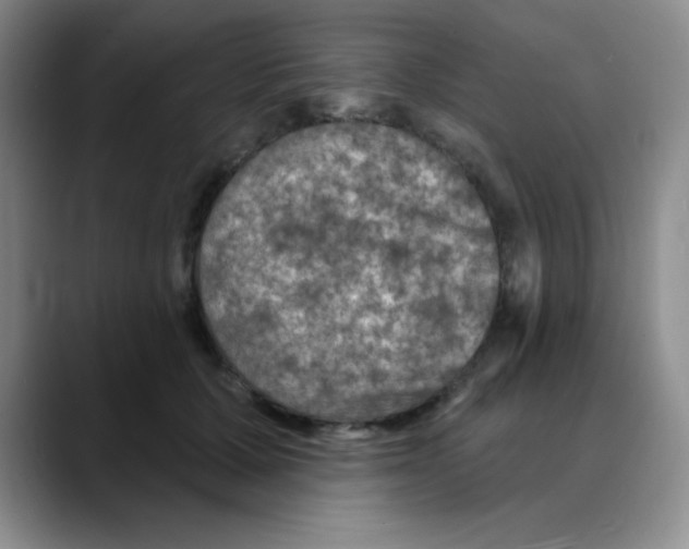X0000088080607200706081731