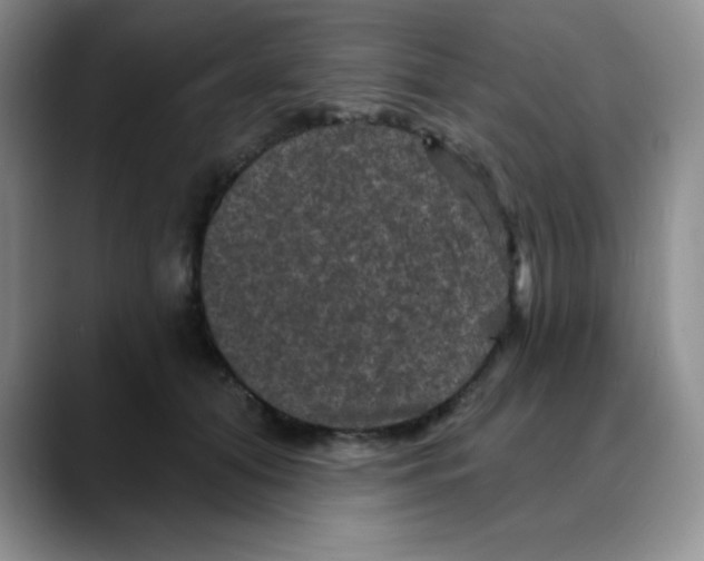 X0000088080608200706081731