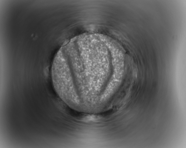 X0000088080611200706081731