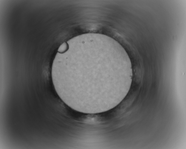 X0000088080612200706081731