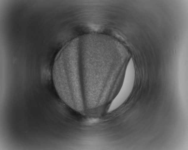 X0000088080613200706081731