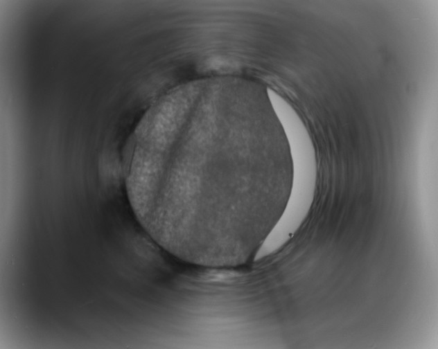 X0000088080617200706081731