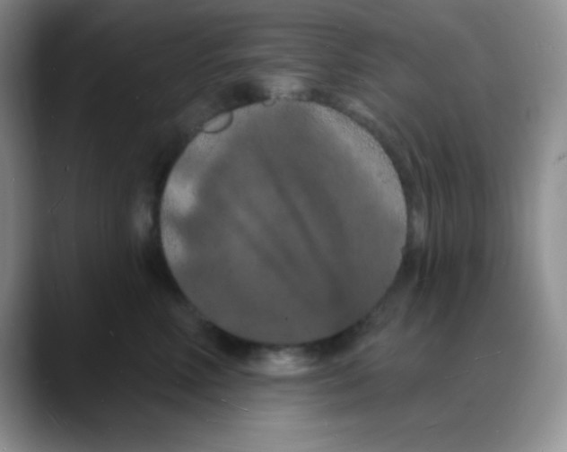 X0000088080618200706081731