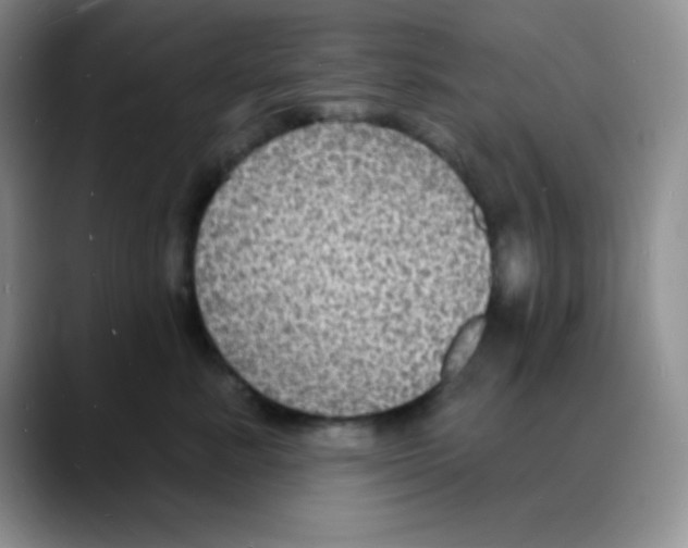 X0000088080619200706081731