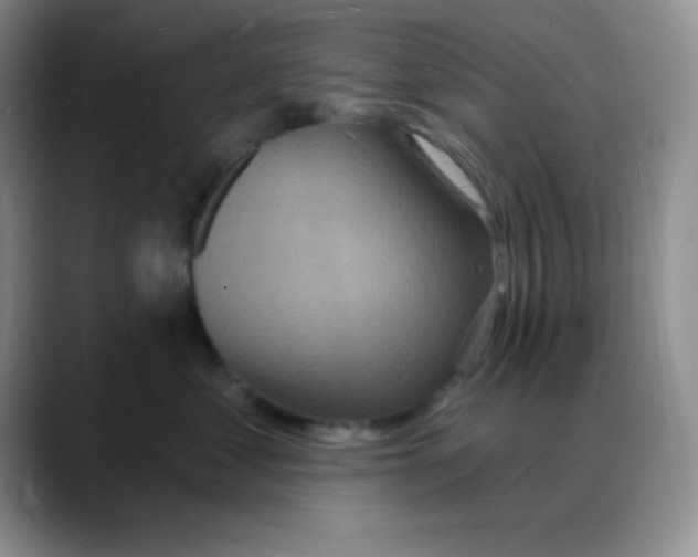 X0000088080621200706081731