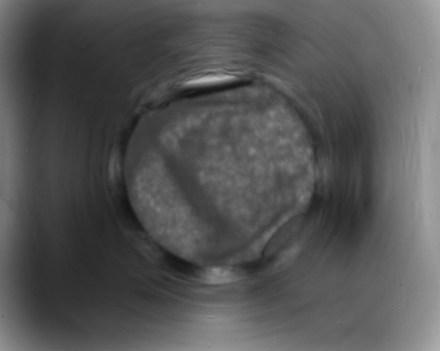 X0000088080623200706081731