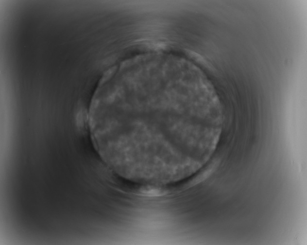 X0000088080624200706081731