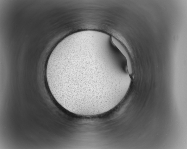 X0000088080625200706081730
