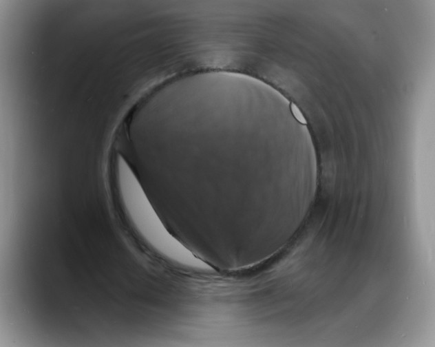 X0000088080626200706081730