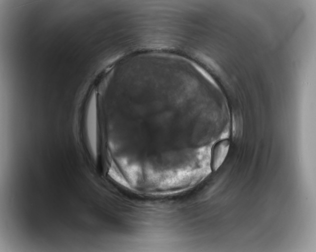 X0000088080627200706081730