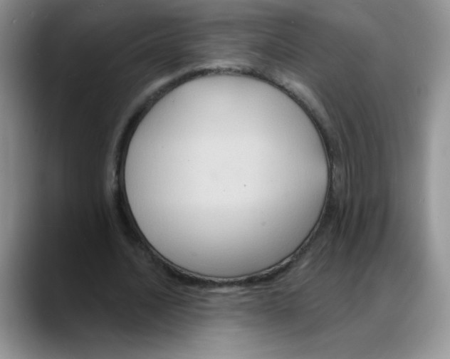 X0000088080628200706081730