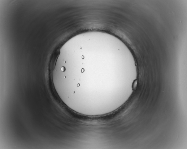 X0000088080629200706081730