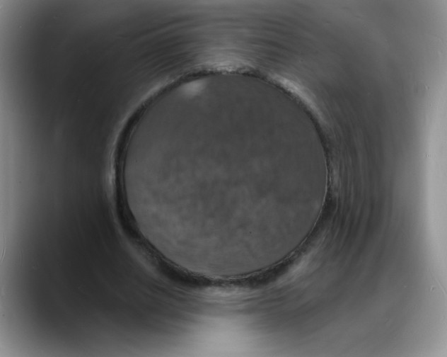 X0000088080630200706081730