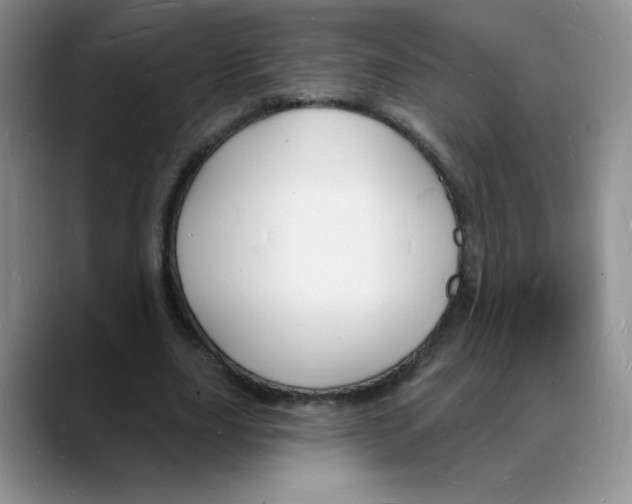 X0000088080631200706081730