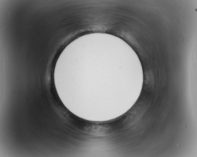 X0000088080632200706081730