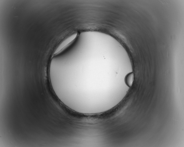 X0000088080633200706081730