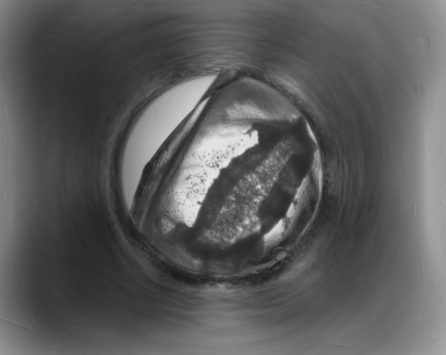 X0000088080634200706081730