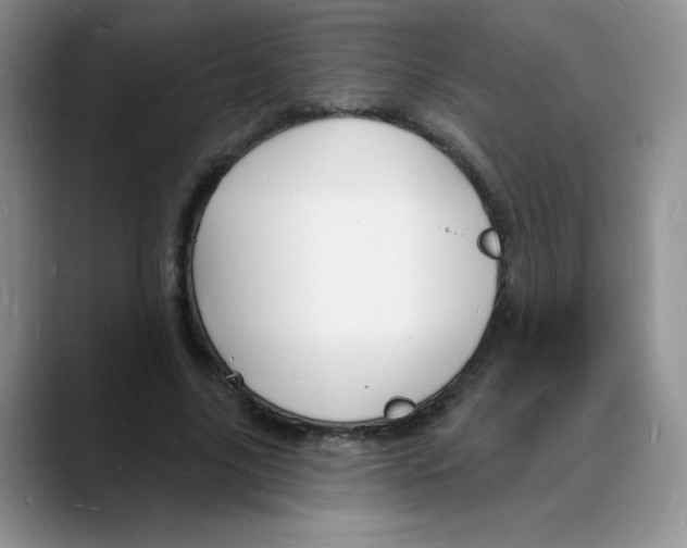 X0000088080635200706081730