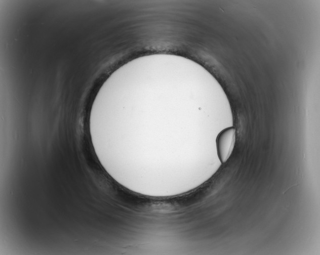 X0000088080636200706081730
