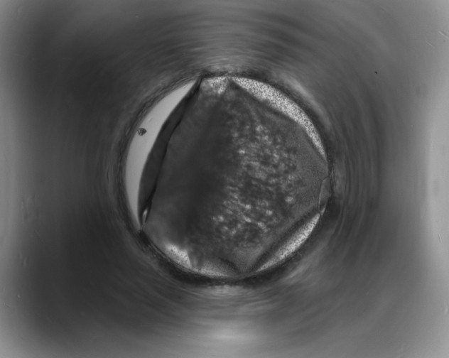 X0000088080637200706081730