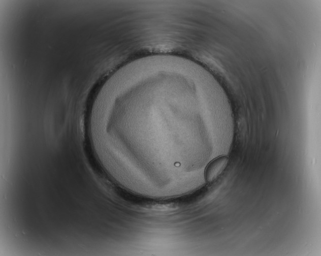 X0000088080638200706081730
