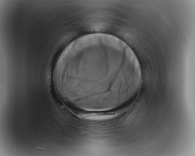 X0000088080640200706081730