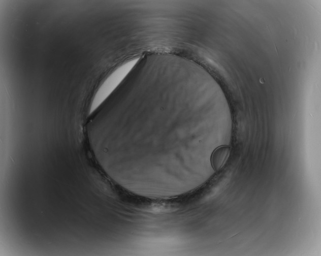X0000088080641200706081730