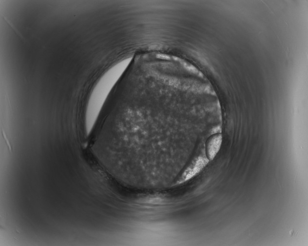 X0000088080643200706081730