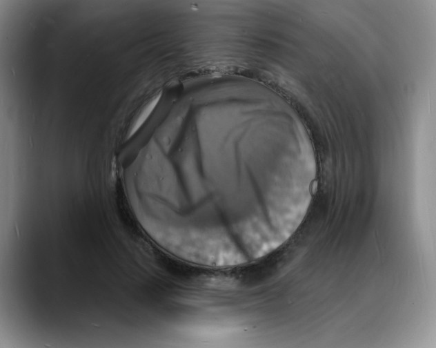 X0000088080644200706081730