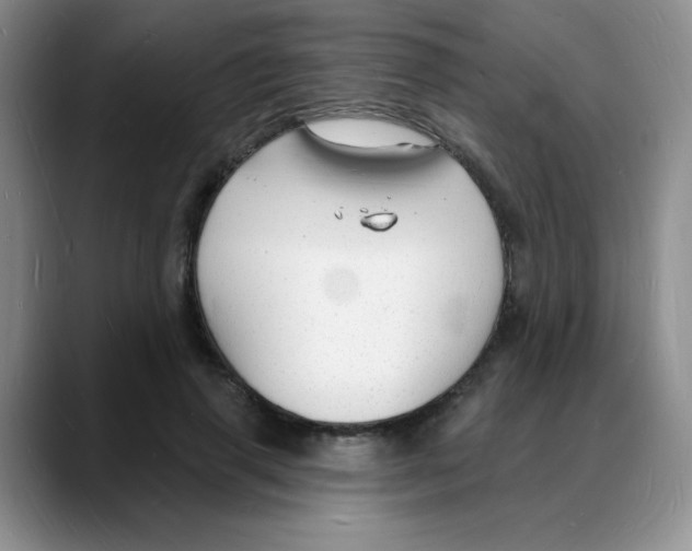 X0000088080645200706081730