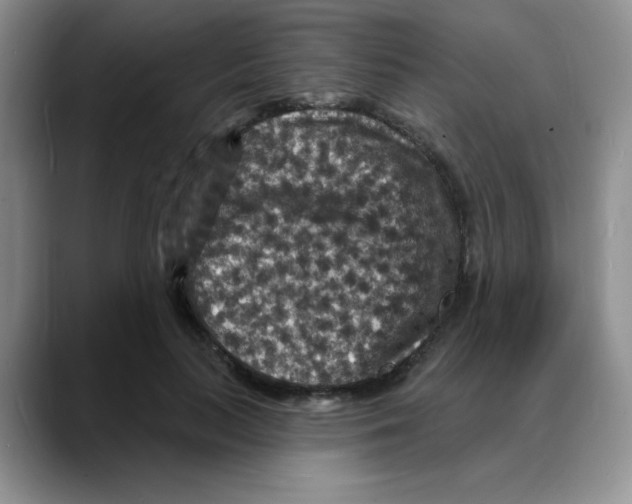 X0000088080647200706081730