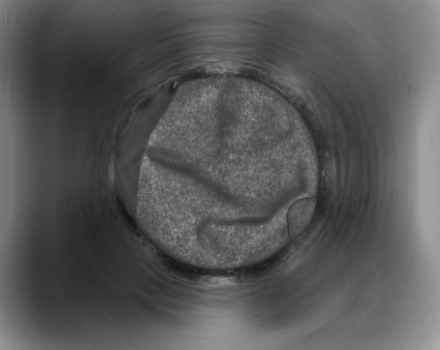X0000088080649200706081730
