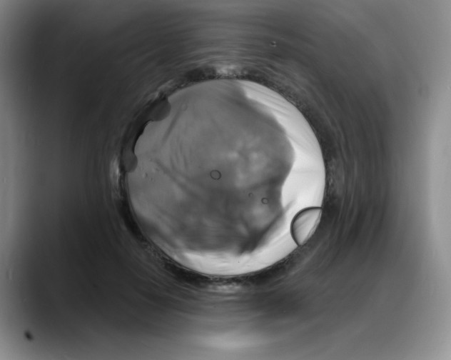 X0000088080650200706081730