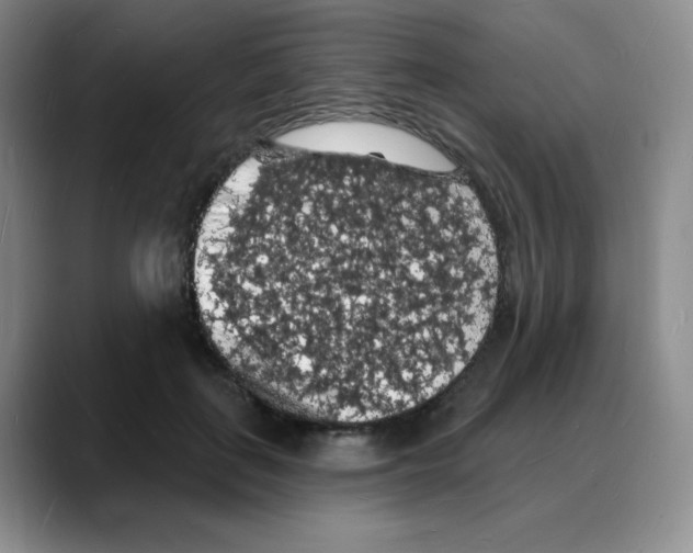 X0000088080651200706081730