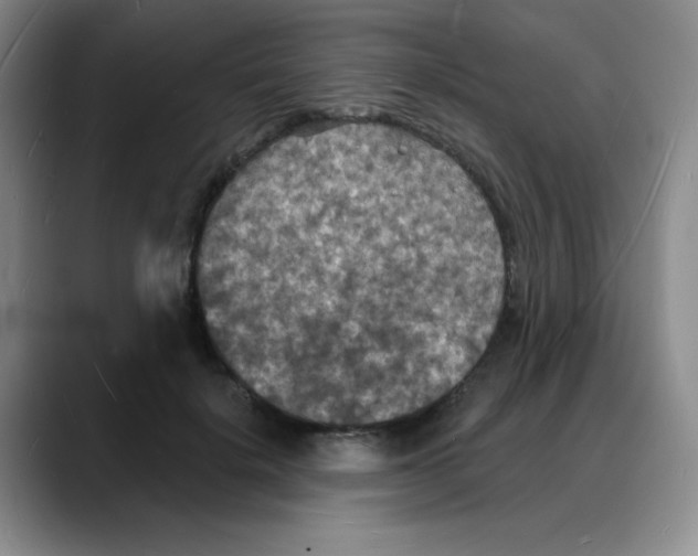 X0000088080652200706081730