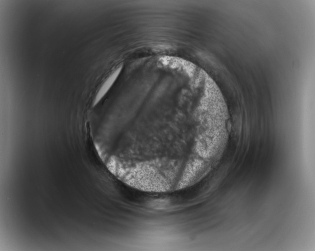 X0000088080653200706081730