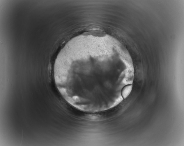 X0000088080654200706081730