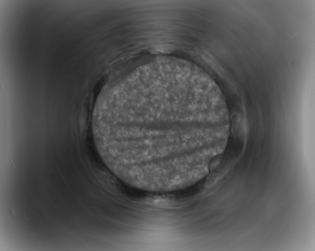 X0000088080655200706081730