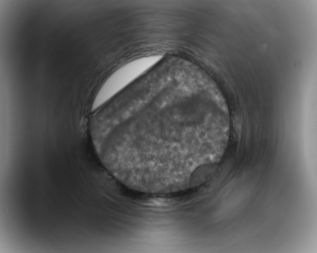 X0000088080657200706081730