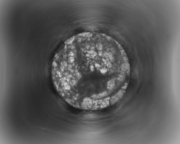 X0000088080658200706081730