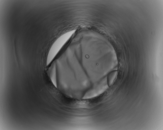 X0000088080659200706081730