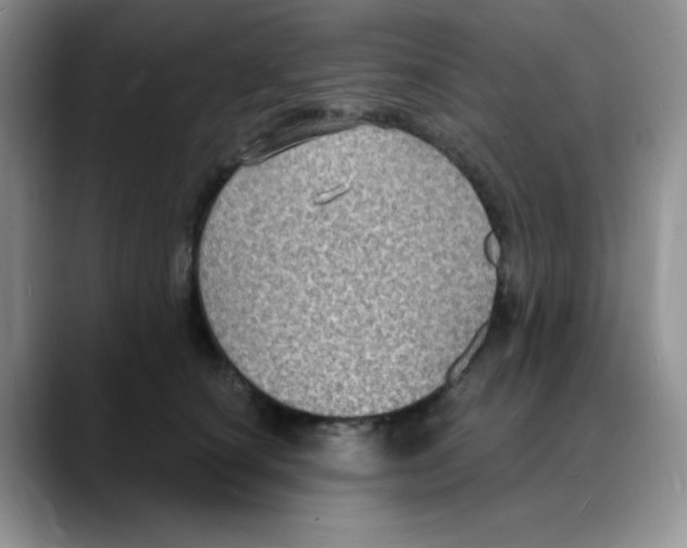 X0000088080660200706081730