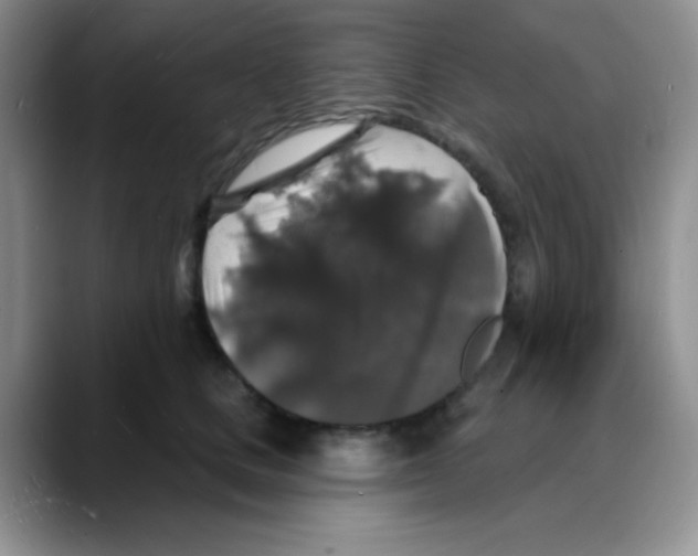 X0000088080661200706081730