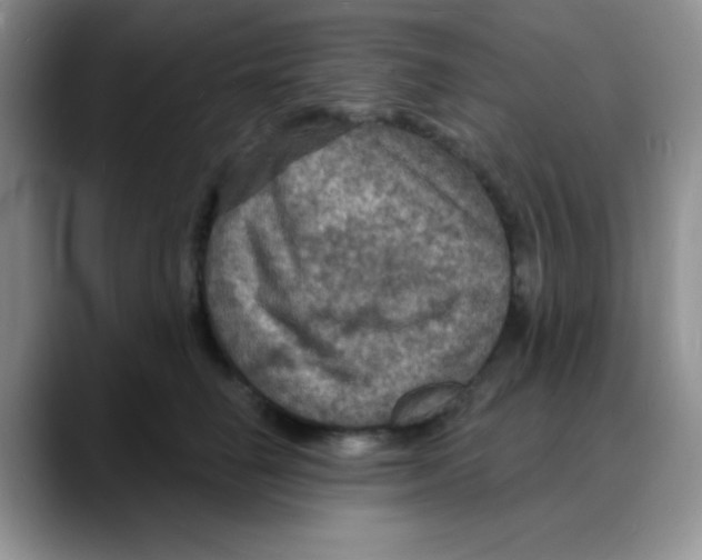 X0000088080662200706081731